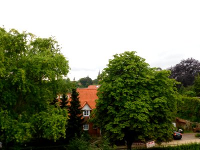 17. Juli 2019