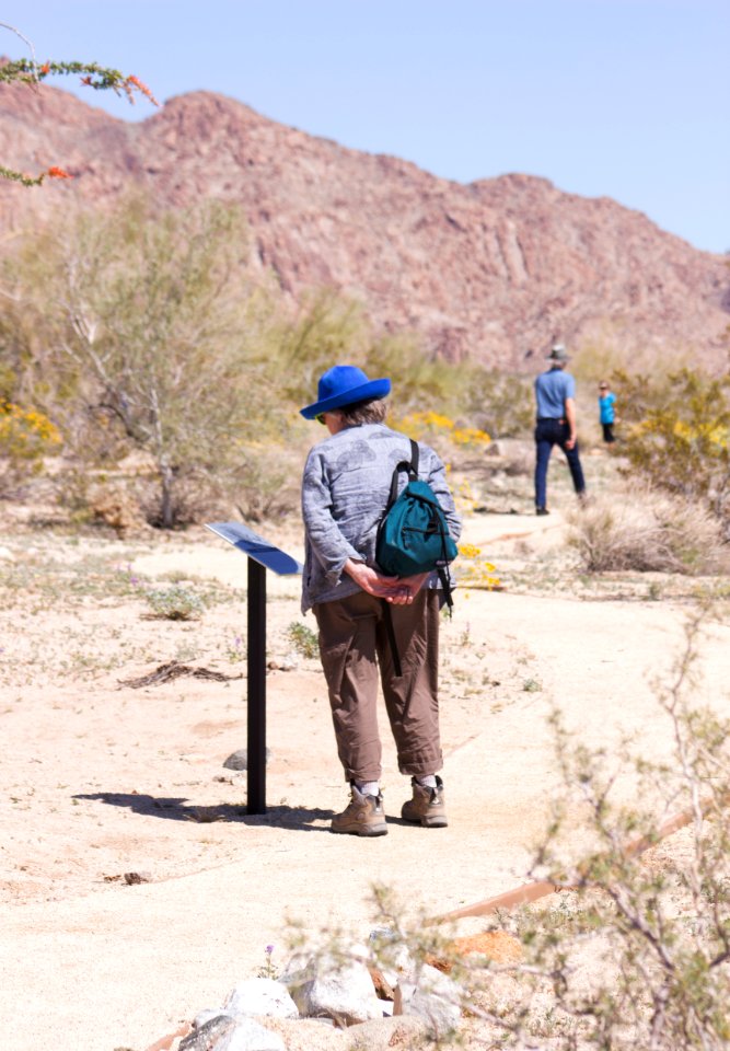 Hiking the Bajada Trail