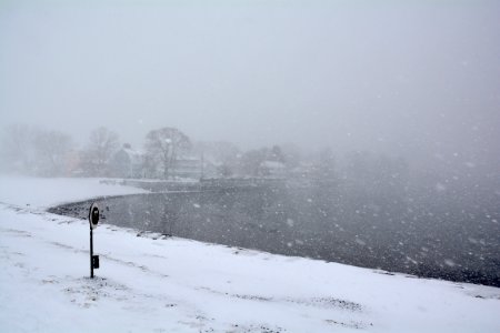 DSC 0205
