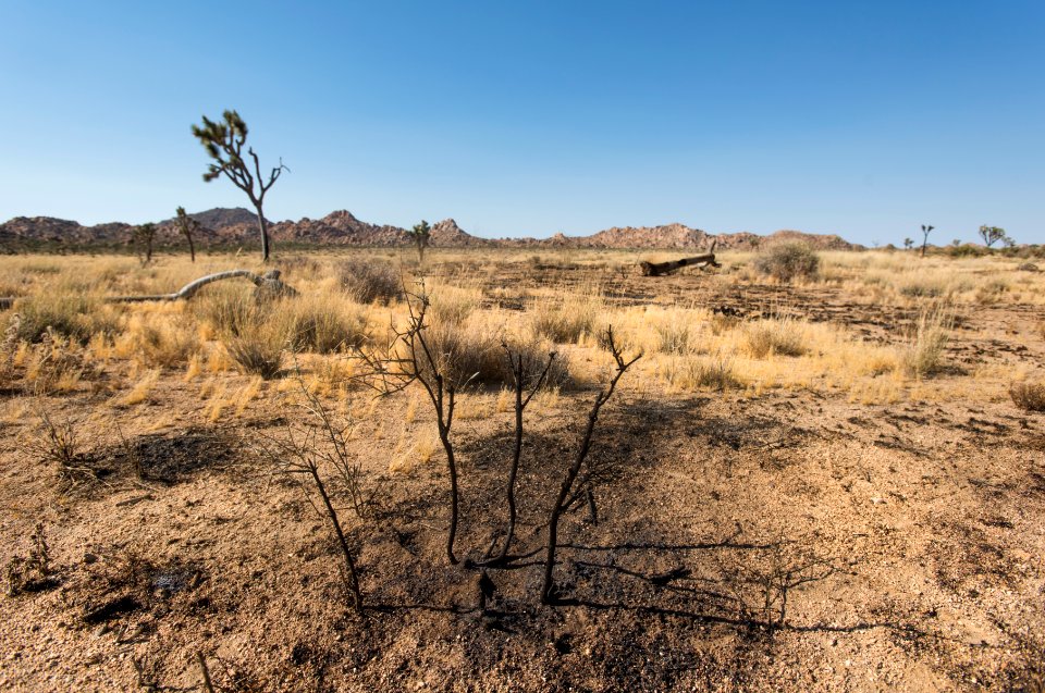 20170621 Wildfire 1 QuailSpringsArea bradsutton