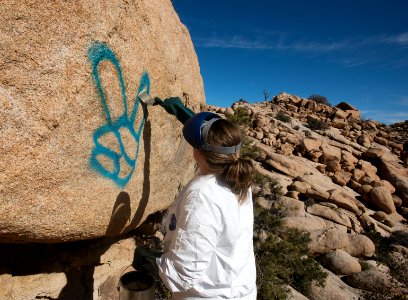 Applying Elephant Snot Graffiti Remover