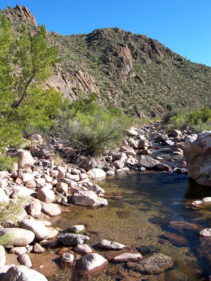Superstitions: Boulder Canyon