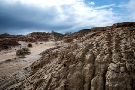 Cryptobiotic soil photo