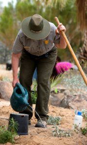 Watering
