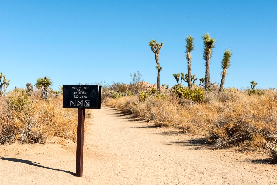 Willow Hole Trail Sign