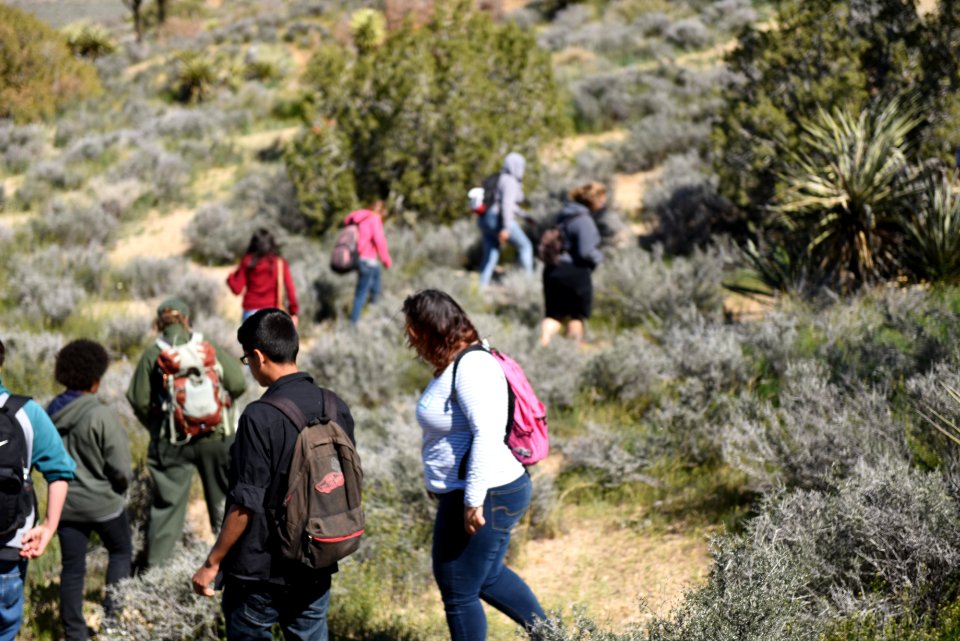 Students hiking