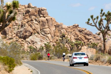 Cyclists photo