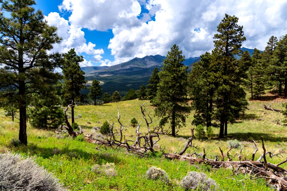 Crater Hike (August 26, 2018)
