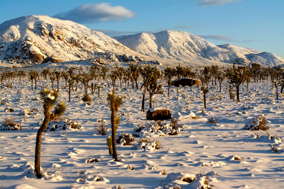 Snow in Lost Horse Valley