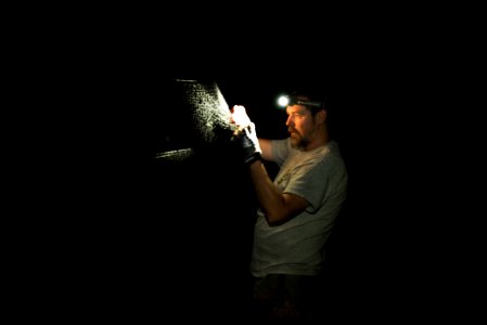 Mist Net for Bat Research