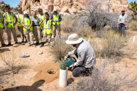 Americorps crew completes restoration work at Echo T