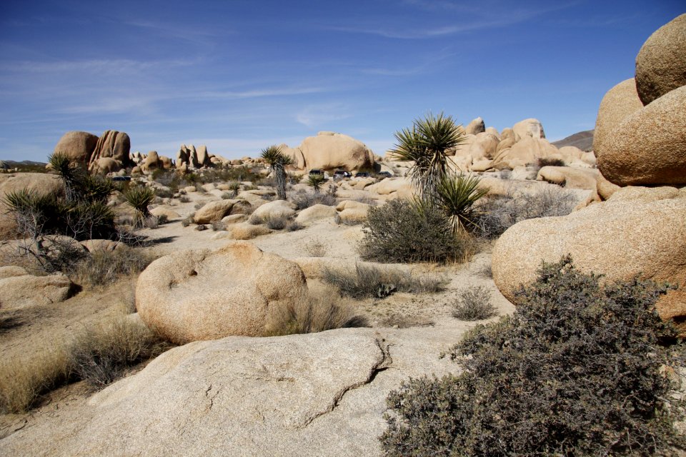 White Tank Campground