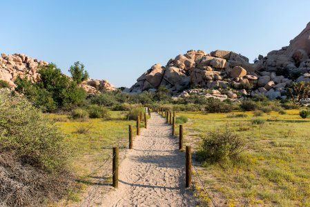 Barker Dam Trailhead, 8/20/15