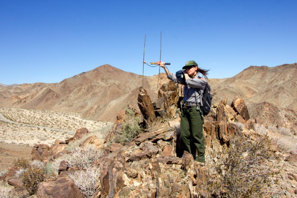 Ranger Kristen Lalumiere tracking tortoises