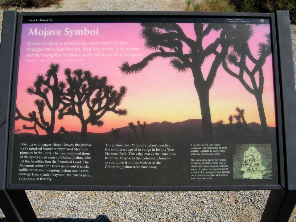 Joshua Tree Wayside circa early 2000s - Mojave Symbols