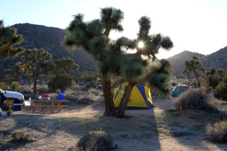 Black Rock Campground