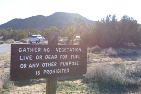 Vegetation Sign