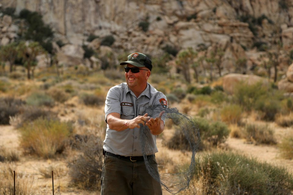 Park ecologist builds a cage for new plants near Hemingway Buttress