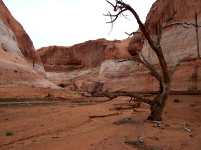 Lake Powell - Davis Gulch 2005