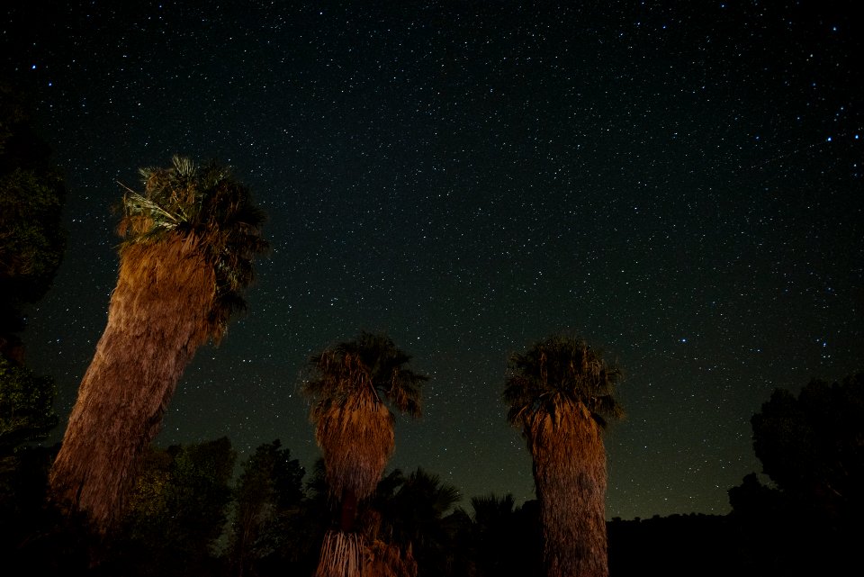 Cottonwood Springs at night, new moon