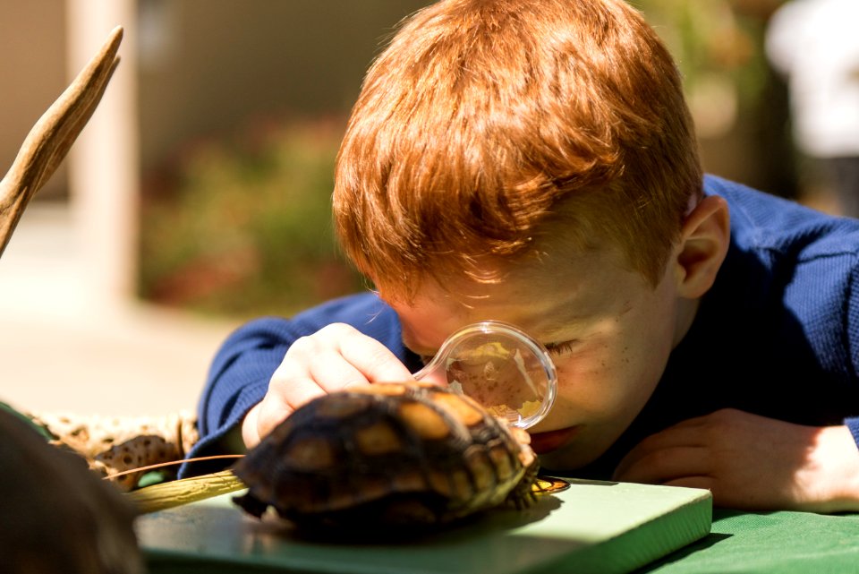 Child exploring at the Joshua Tree National Park booth at High Desert Nature Museum