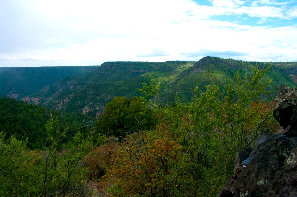 Kelsey Trail No. 3