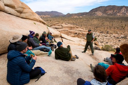 Graduate Students Talk to Rangers at Joshua Tree photo