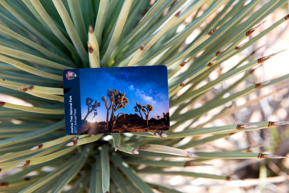 Joshua Tree National Park 2017 Annual Pass