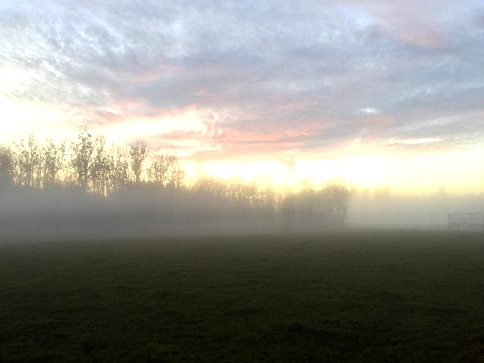 Nebel in Greifenberg