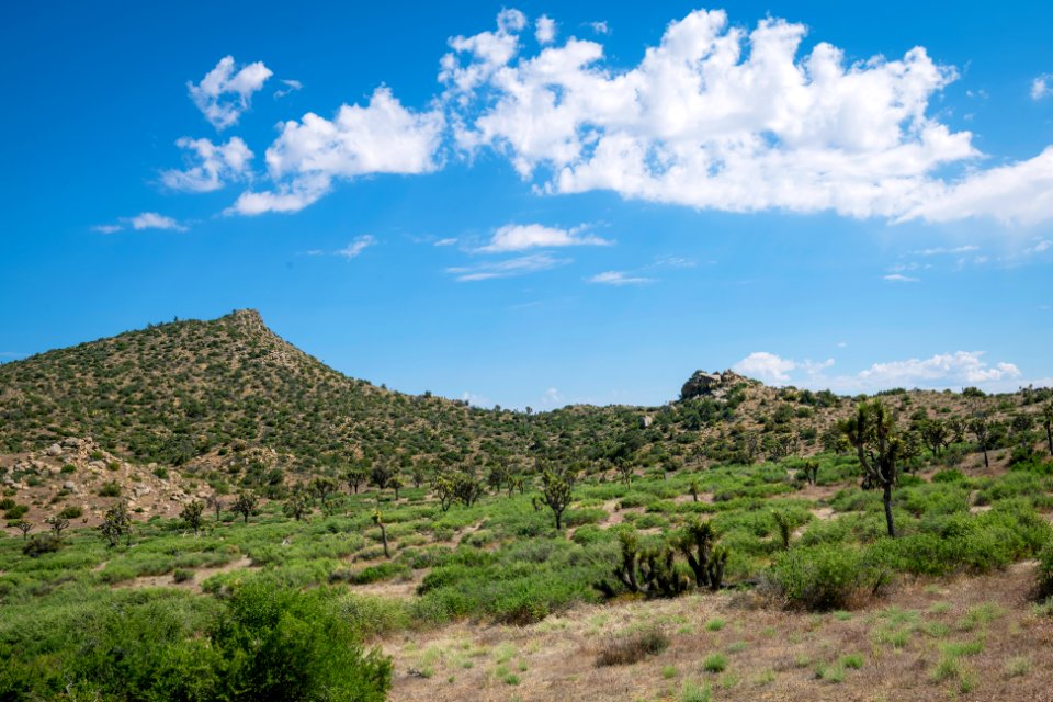 View along Upper Covington Flats