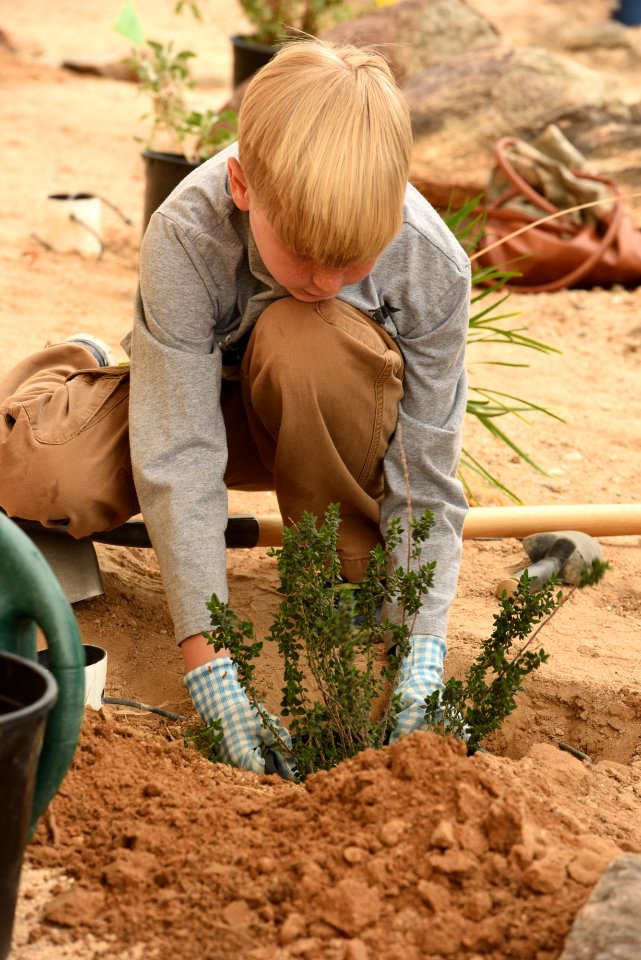 Planting Native Species