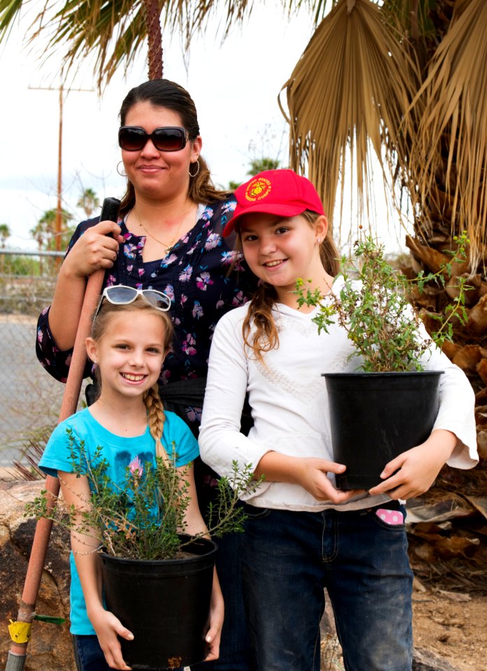 Ready to Plant Native Species