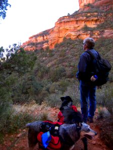 Sedona: Fay Canyon