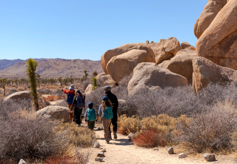 Visitors in Park