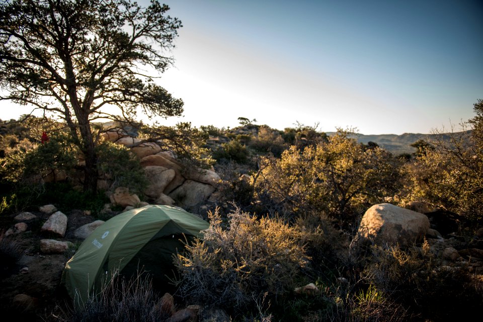 Backcountry campsite between Juniper Flats and Covington Flat