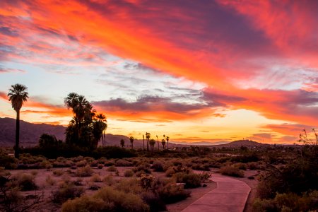 Sunset at Oasis of Mara photo