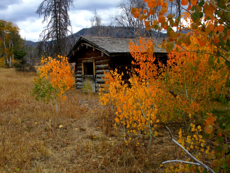 Boise National Forest, Knox Ranch Cabin with Aspens