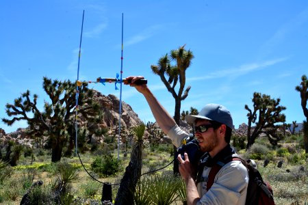 Tortoise Monitoring and Research