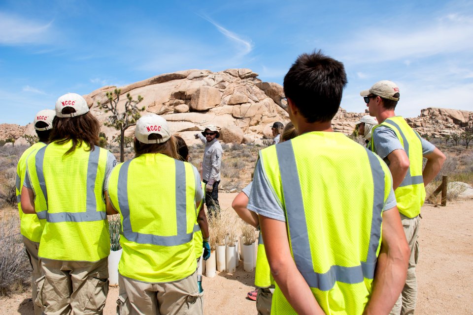 Americorps crew completes restoration work at Echo T