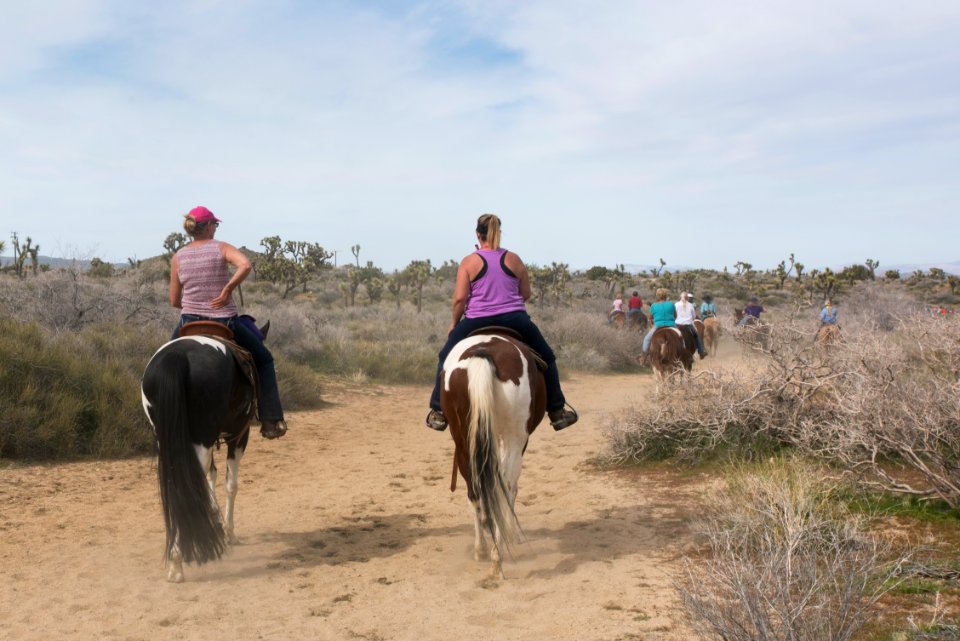Horseback riding on the California Riding and Hiking Trail; Black Rock Campground