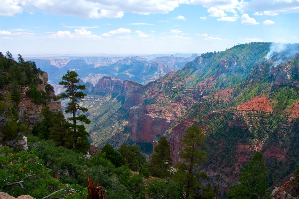 Saddle Mountain Trail