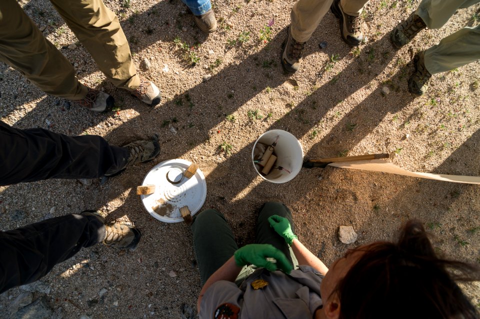 Earthwatch Volunteers Gather Around a Pitfall Trap