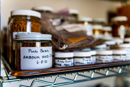 Seed banks