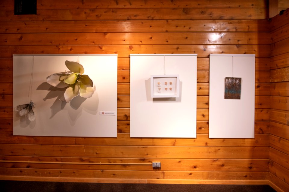 Black Rock Gallery: Juniper Harrower