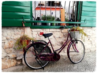La bicyclette rose et les barreaux photo