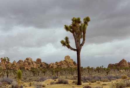 Rain near Hidden Valley