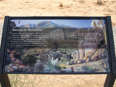 Joshua Tree Wayside circa early 2000s - Barren or Bountiful