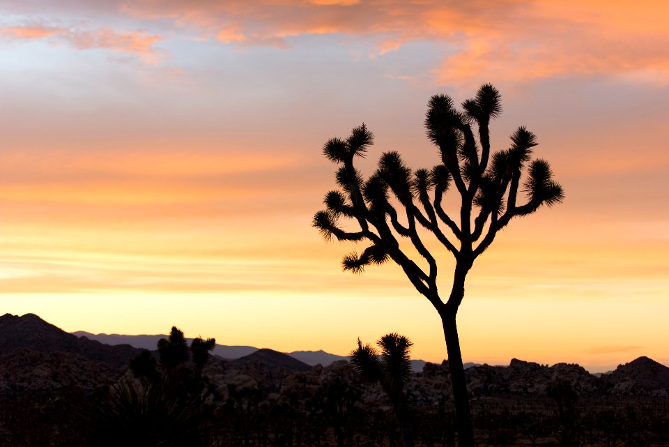 Sunset in Lost Horse Valley; 12/3/15