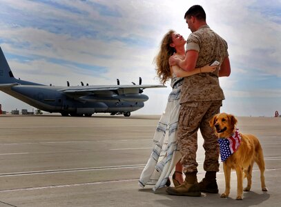 Runway dog man