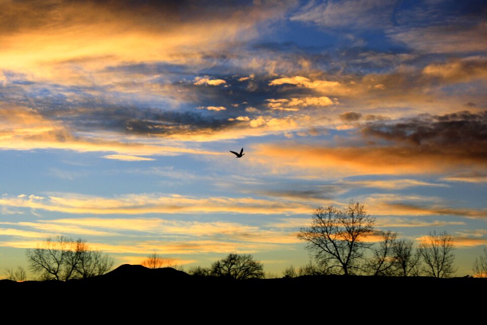 Landscape colorful twilight